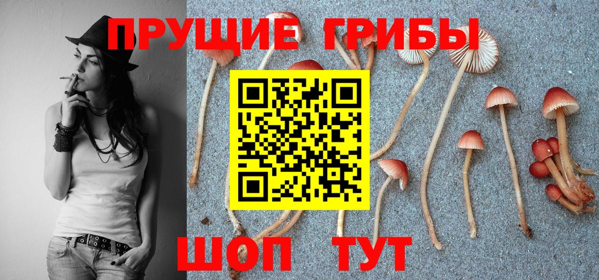 Псилоцибиновые грибы GOLDEN TEACHER  закладки  Новотроицк  Галлюциногенные грибы ЛСД  Вход с VPN 